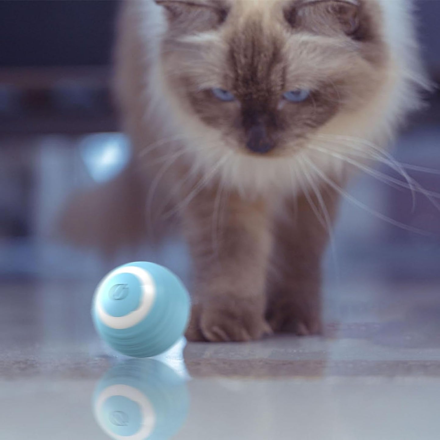 Self-Rolling Playball