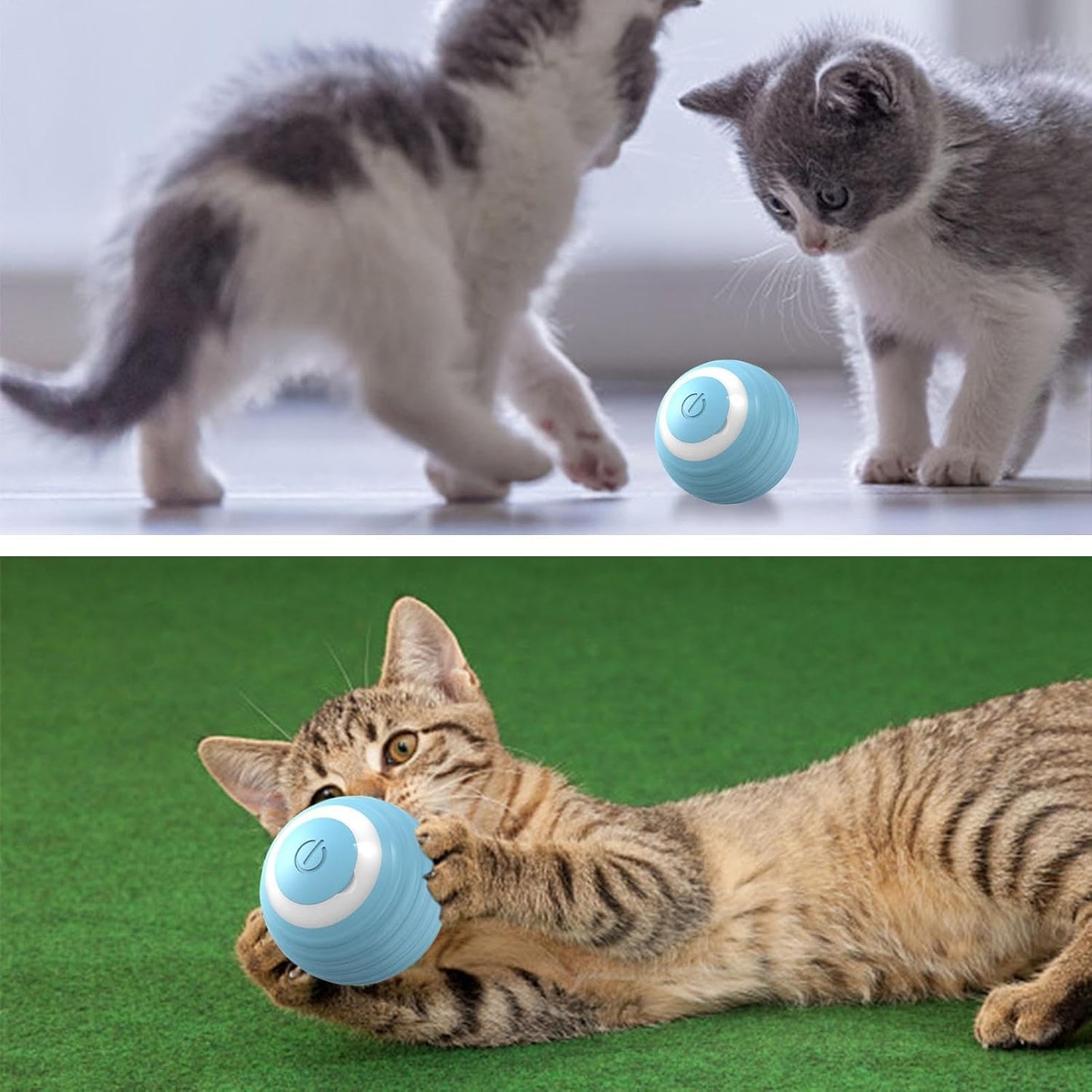 Self-Rolling Playball