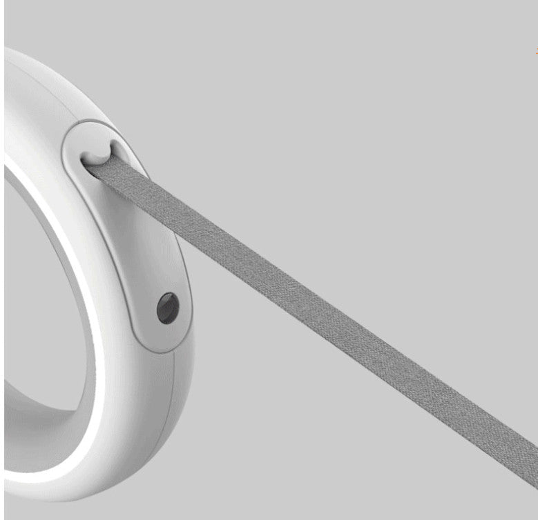 Smart Leash