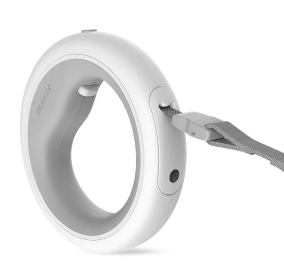 Smart Leash