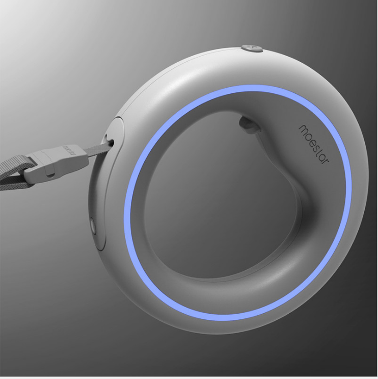 Smart Leash