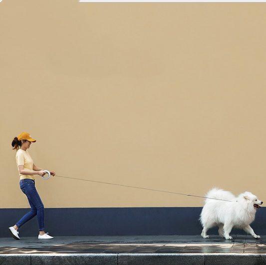 Smart Leash